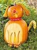 Wisepumpkin