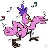 Coopes_chick