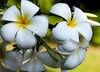 Vickster_77