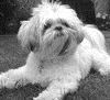 PennyLane26uk