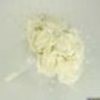 chelle2602