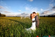 Wedding Photographer