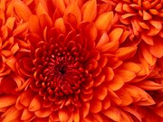 Creative image