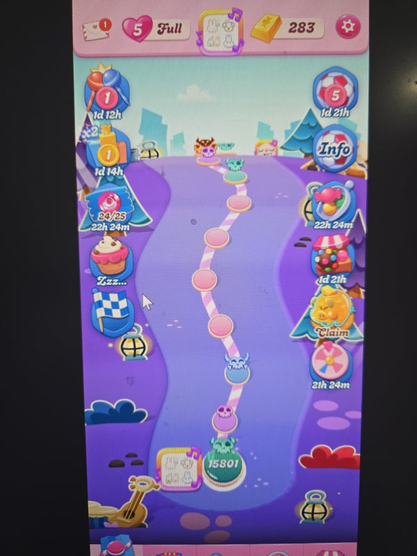 1000017325.jpg