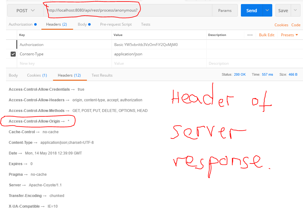 access control allow origin subdomain