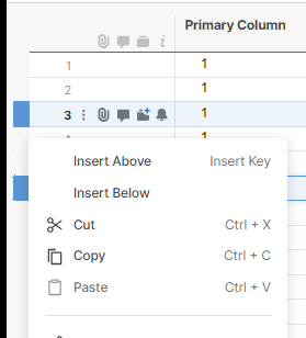 Is it possible to add new Rows not above but beneith a certain Row