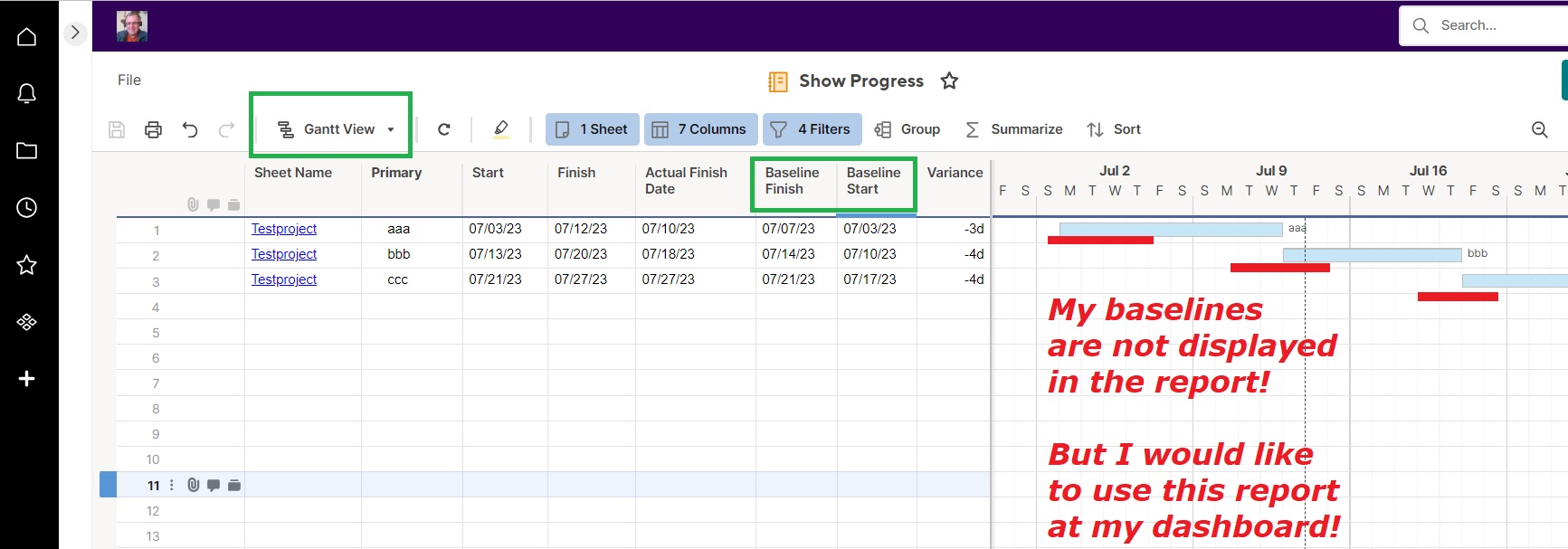 3_filter-does-not-show-the-baseline-in-the-gantt-chart.jpg