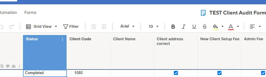 ttest client audit form.jpg