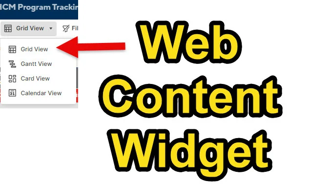 SS Web Content Widget.jpg