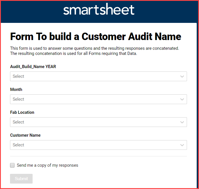 Audit Name Input Form_1.png