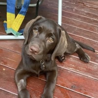 Photo of Carlyn F