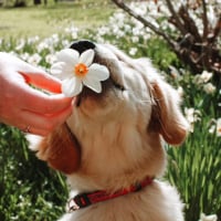 Photo of samantha.bean