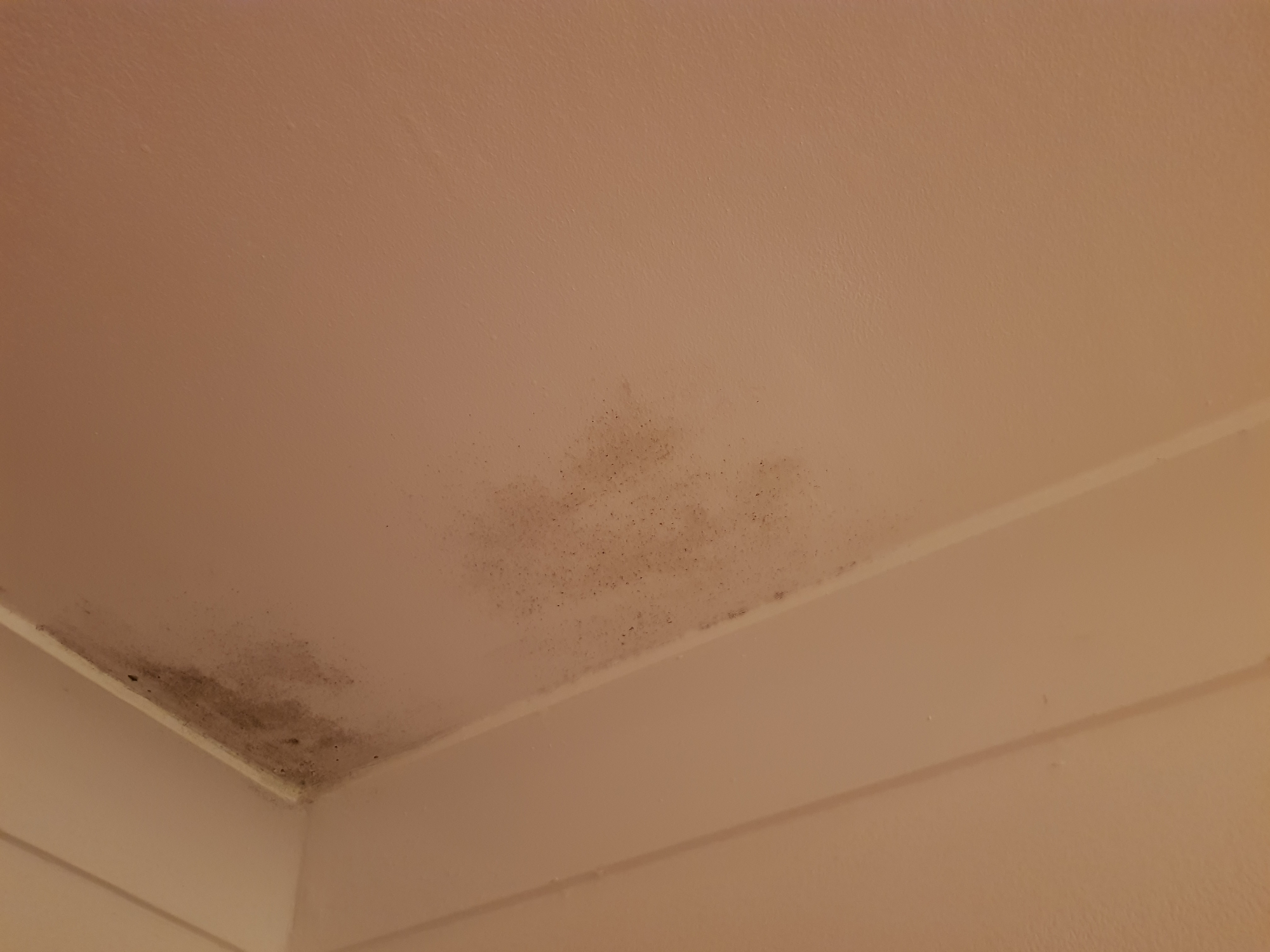 Marks on ceiling — MoneySavingExpert Forum