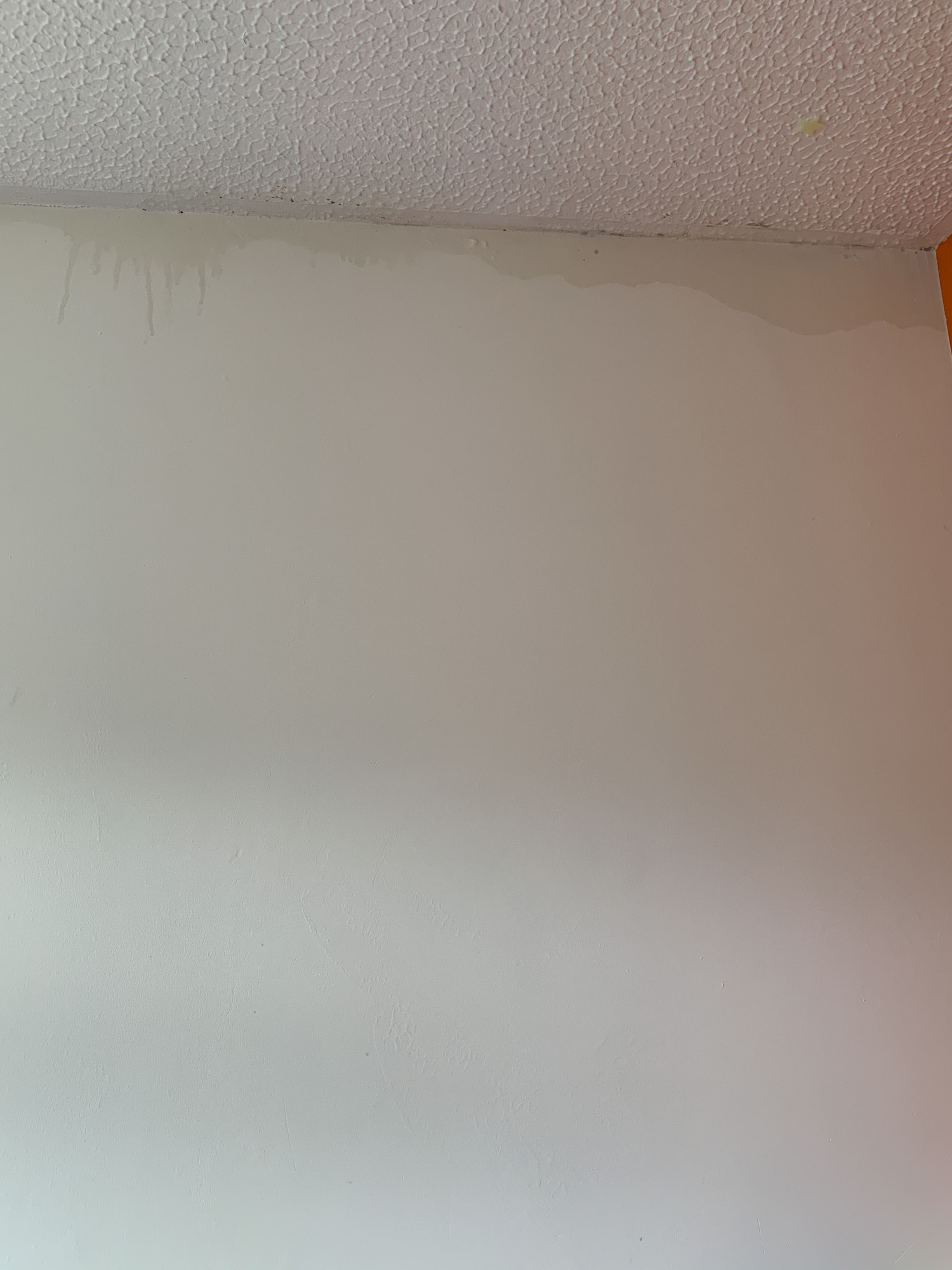 Wet walls please help! — MoneySavingExpert Forum