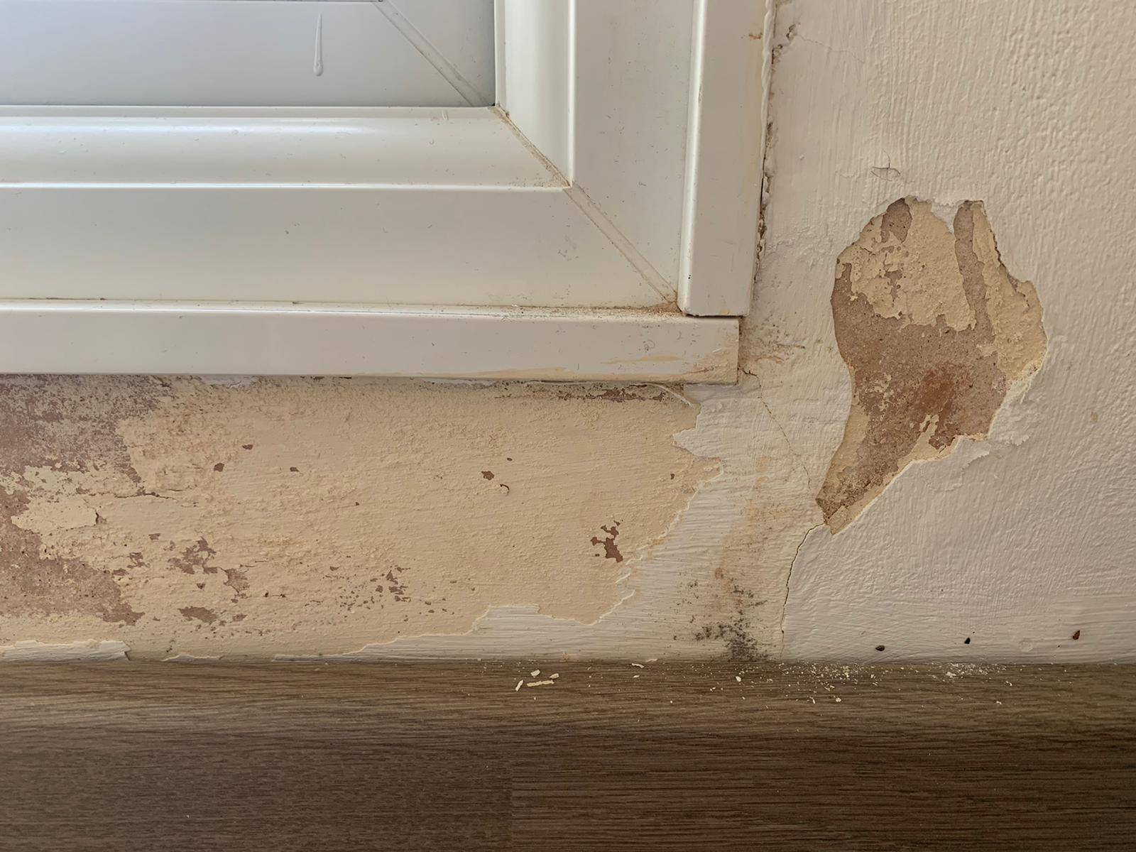 Flaking paint and plaster around bathroom and kitchen windows is this