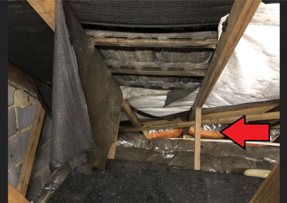 Damp rafters in loft — MoneySavingExpert Forum