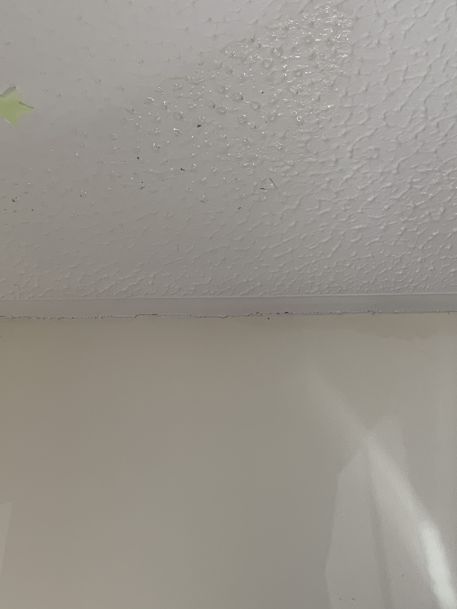 Wet walls please help! — MoneySavingExpert Forum