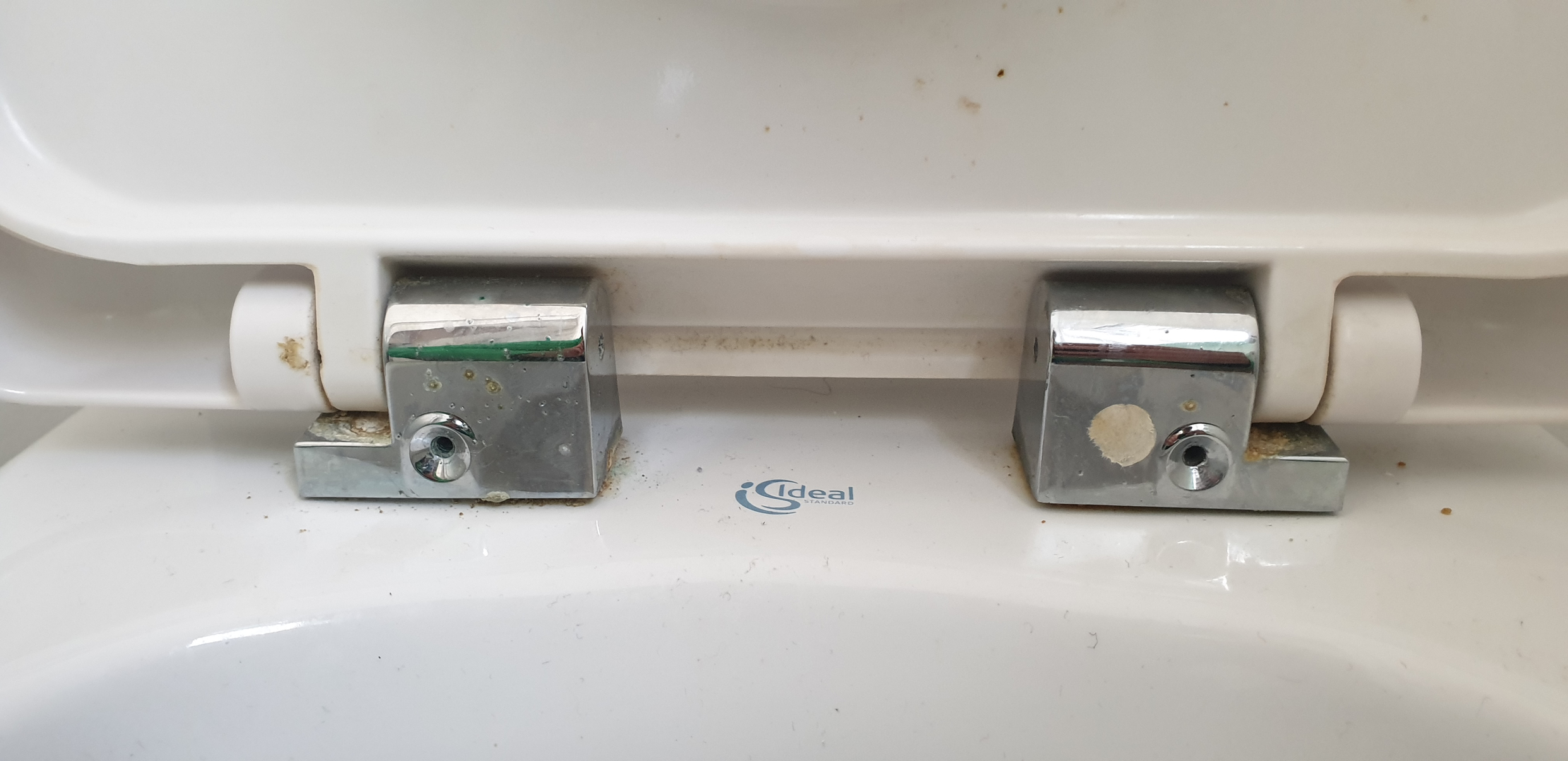 Help! Cannot remove toilet seat. — MoneySavingExpert Forum