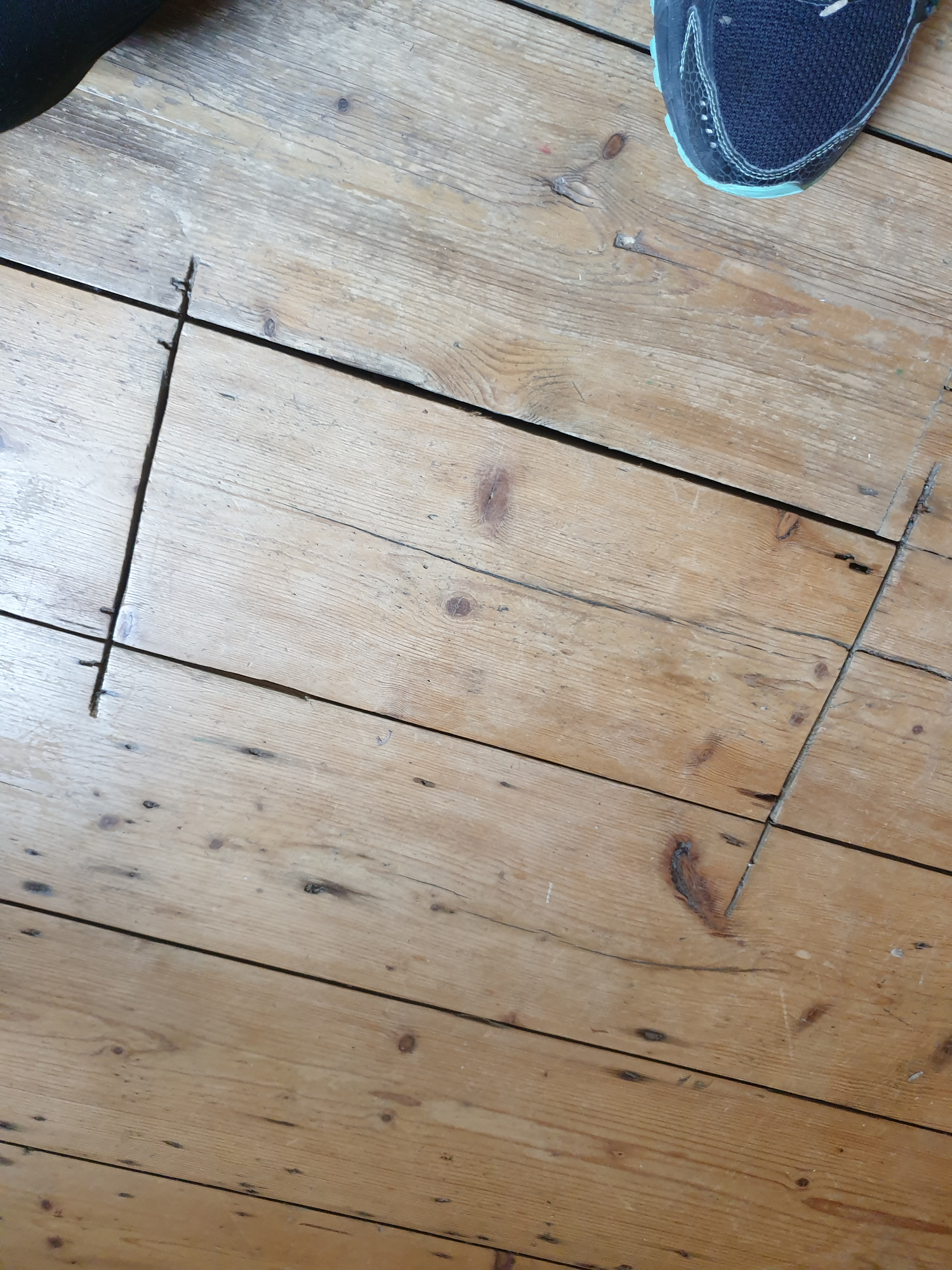 What is this under my floorboard?! — MoneySavingExpert Forum