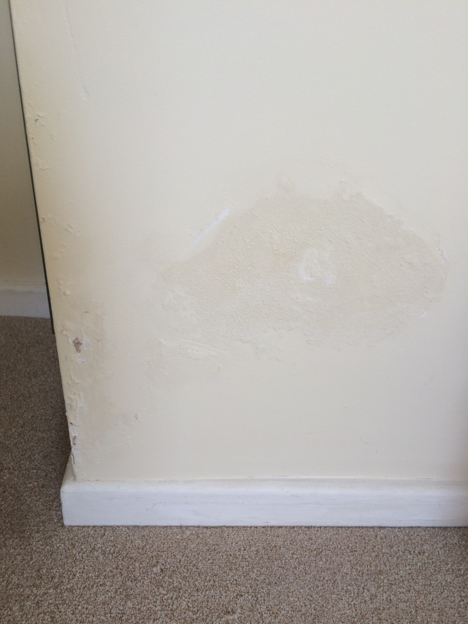 Damp patches on chimney Breast Page 2 — MoneySavingExpert Forum Damp patches on chimney Breast Page 2 — MoneySavingExpert Forum