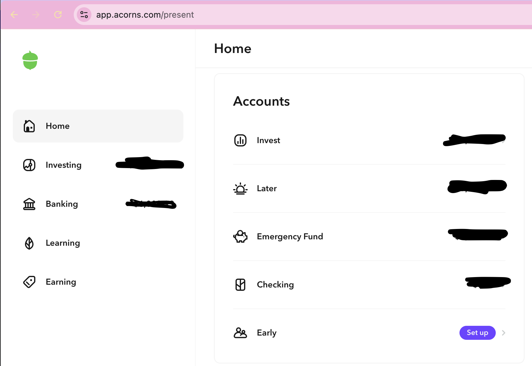 acorns_accounts.png
