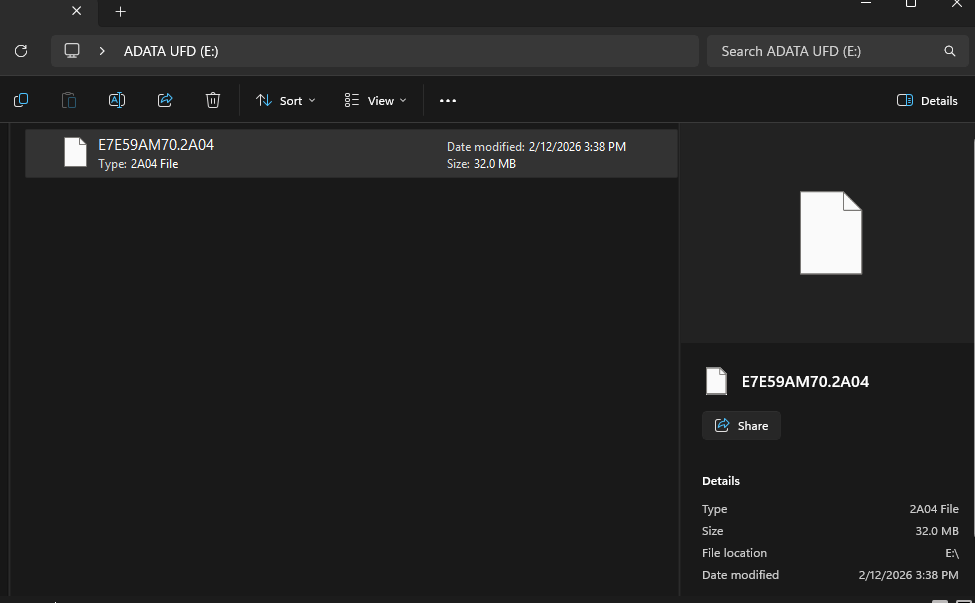 bios file screenshot.png