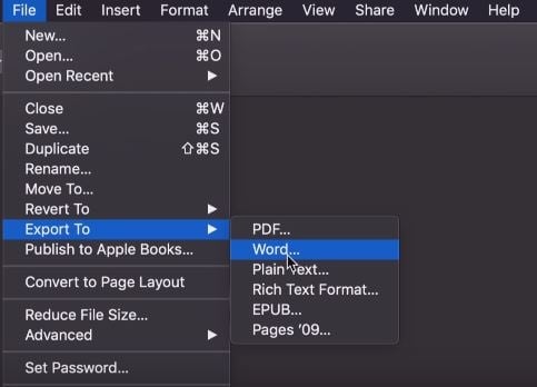 apple version of word document