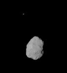 Photo of nsm0220