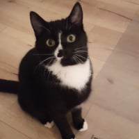 Photo of Friedemann