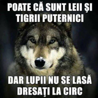 Photo of iditzi23