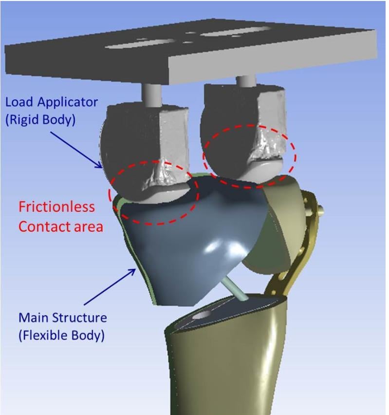 Definition & Meaning of Applicator