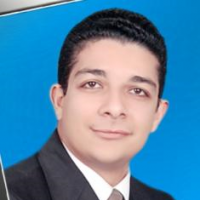 Mohamed Younis ElShamy