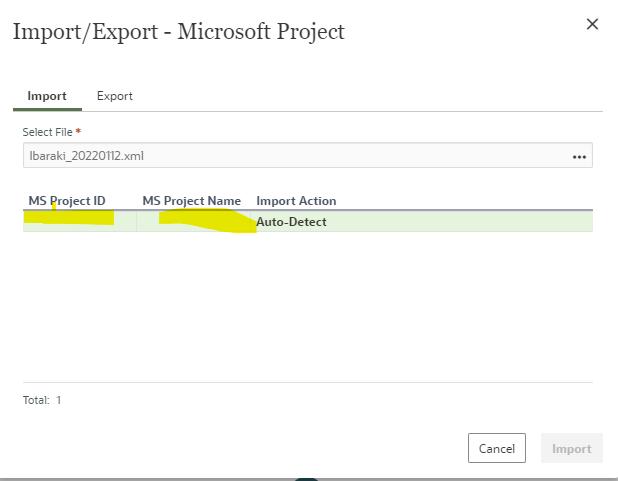 Importing Issue with MS Project — oracle-mosc