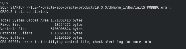 On STARTUP PFILE for starting Oracle database 19c , getting error of ...