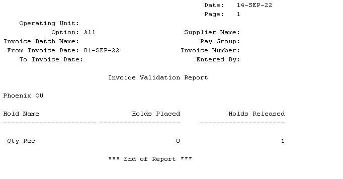 Invoice Validation Program Output not showing Invoices Validated ...