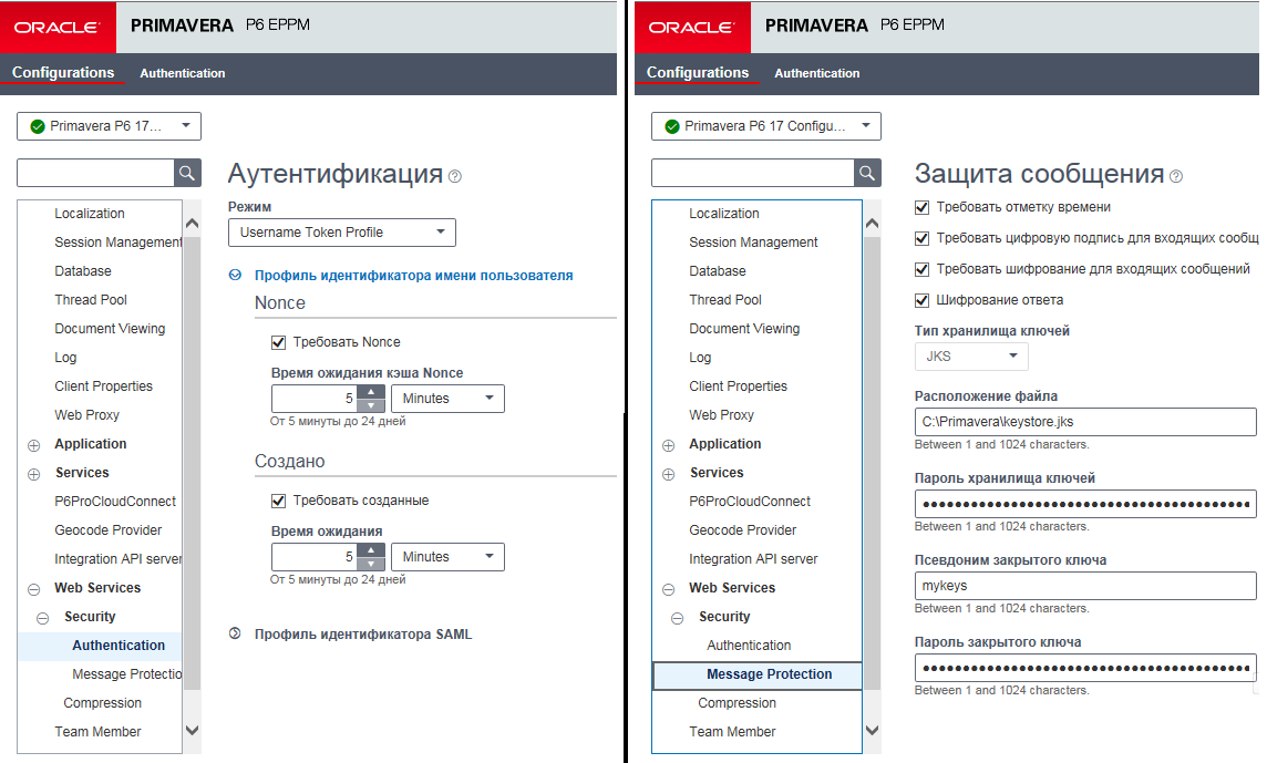 Primavera P6 EPPM, v.17.7, Web services demo failed because of the ...