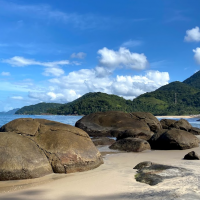 Hosana Tominaga-Oracle