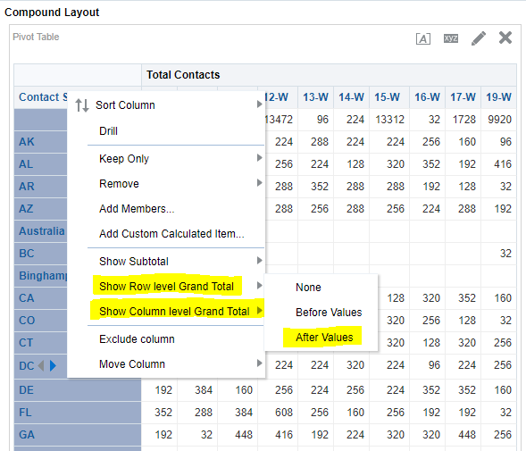 Insight (OBIEE) Tips How to format totals in a pivot table — oracle