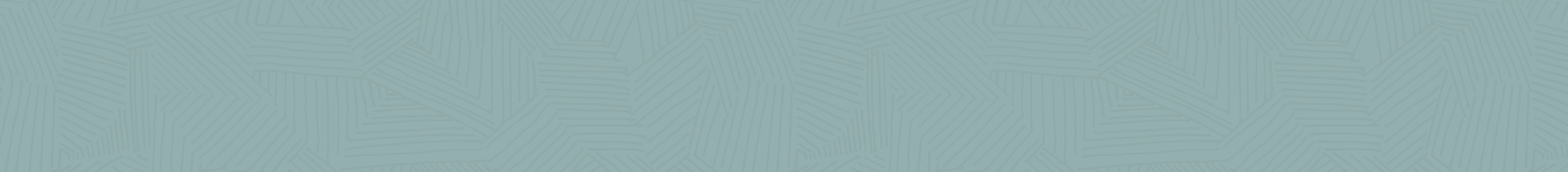 Partners Banner