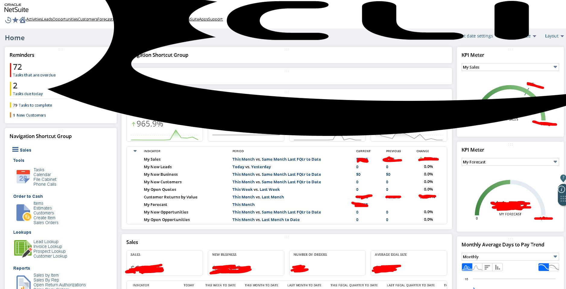 The top of my Netsuite interface has our company logo covering it ...