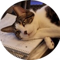 Theresa Pappas-Oracle