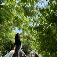 Aly Magpantay-Oracle