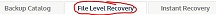 New 9.0 Interface tab from within Recover labeled "File Level Recovery"