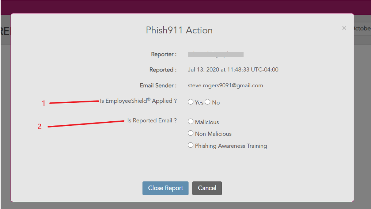 phish911_action.PNG