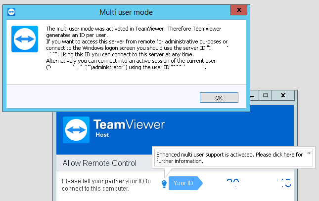 initializing display parameters teamviewer 12