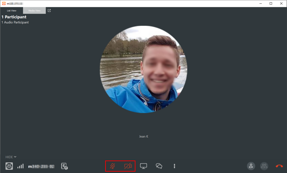 4_Activate camera and mic.png 4_Activate camera and mic.png