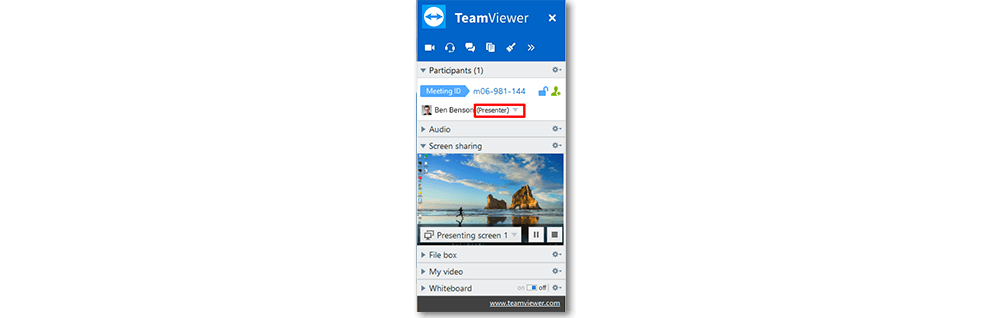 online screen sharing tools teamviewer