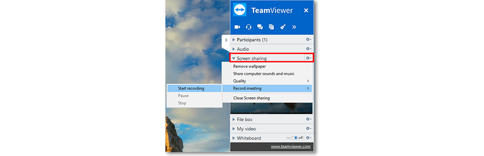 team viewer meeting