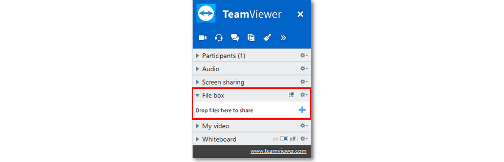 team viewer meeting