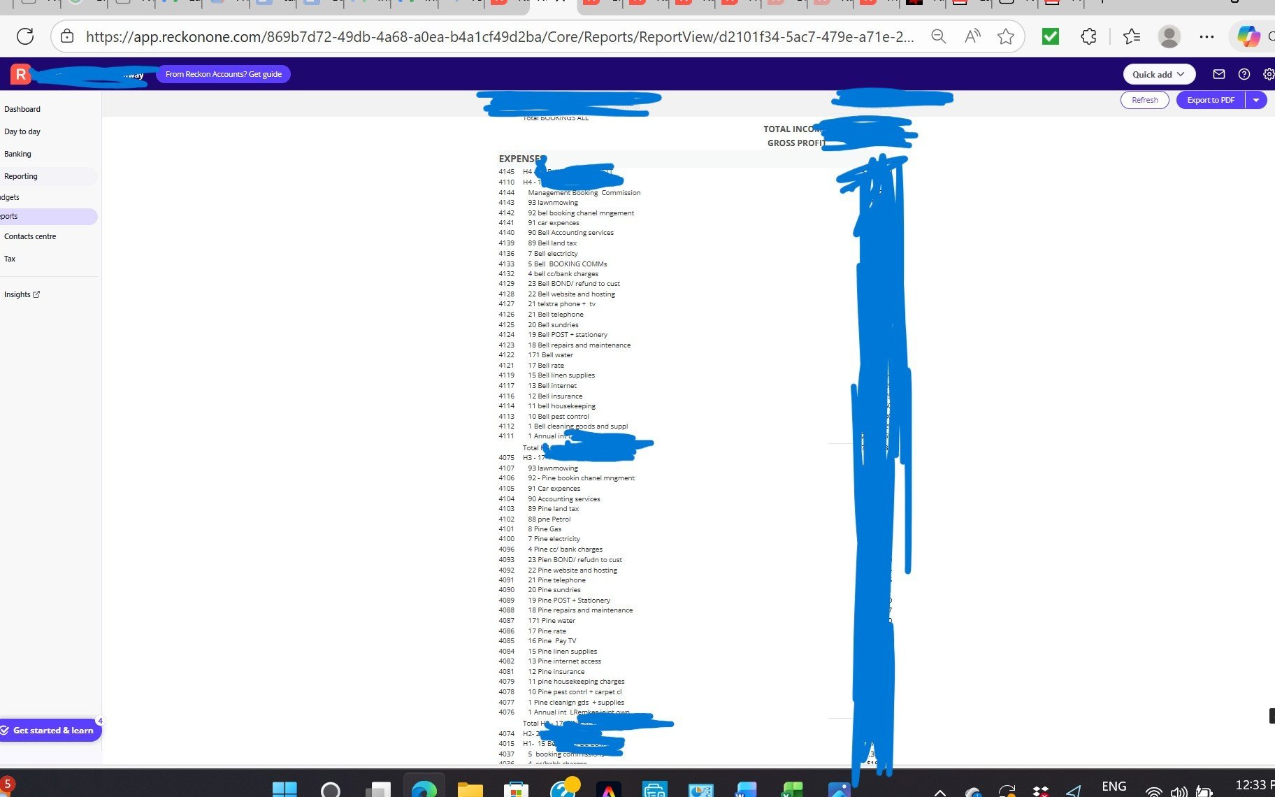 1 showing pandl format.jpeg